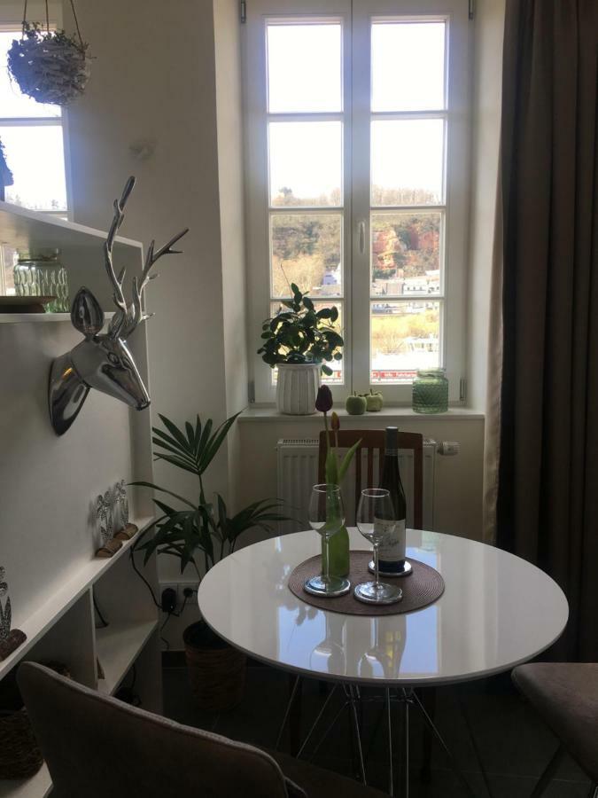 Apartment Am Zurlaubener Ufer Трир Екстериор снимка